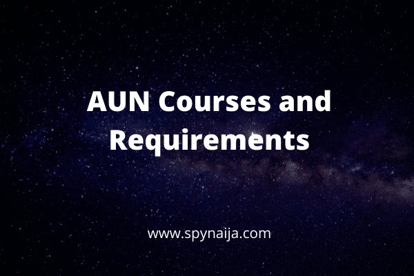 AUN Courses and Requirements