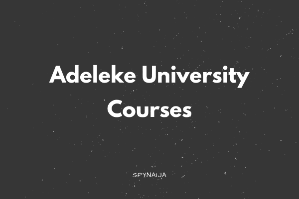 Adeleke University Courses