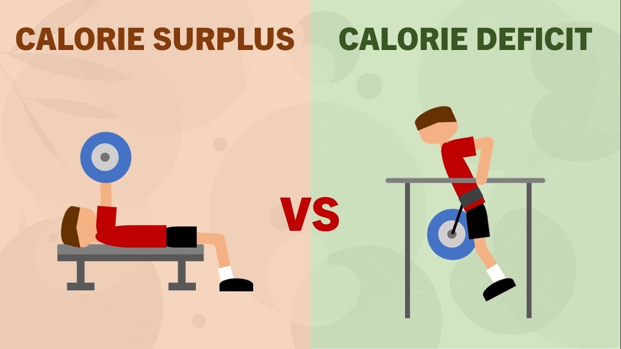 Calorie Deficit vs Calorie Surplus